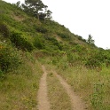 P1020509