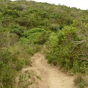 P1020529