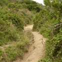 P1020530