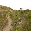P1020531