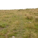 P1020548