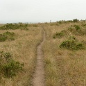 P1020549