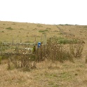 P1020550
