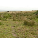 P1020551