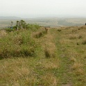 P1020554
