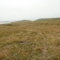 P1020559