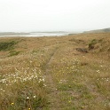 P1020560