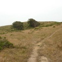 P1020566
