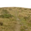 P1020568