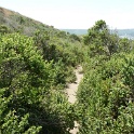 P1020591