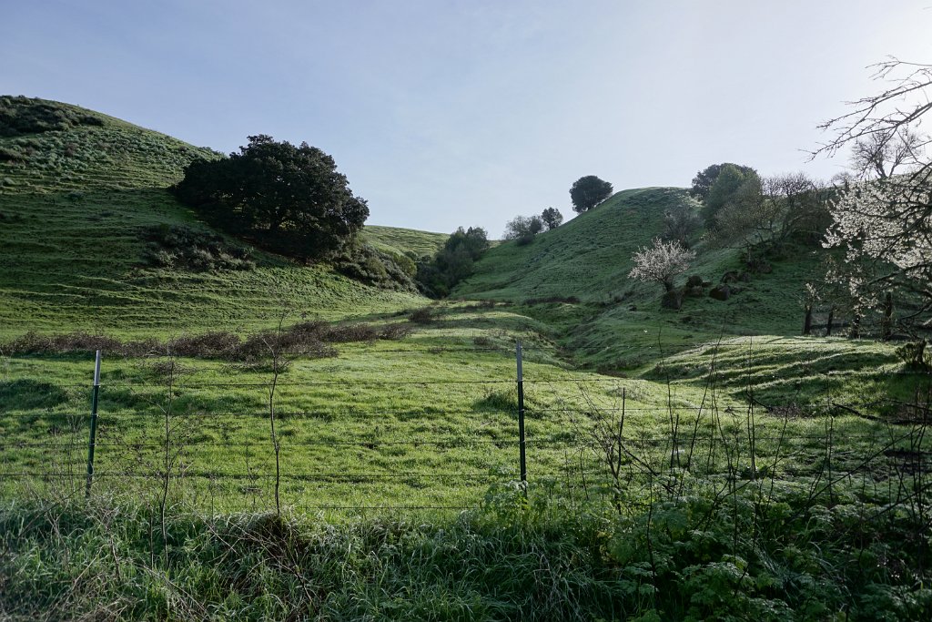 DSC05009