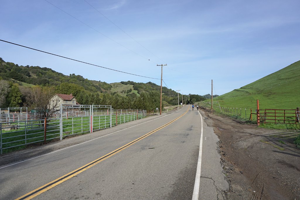 DSC05011