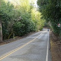 DSC05003