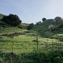 DSC05009