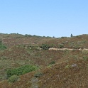 IMG_1534