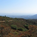 IMG_1545