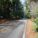 DSC04779