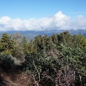 DSC04794