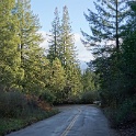 DSC04810
