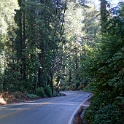 DSC04830