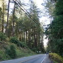 DSC04856