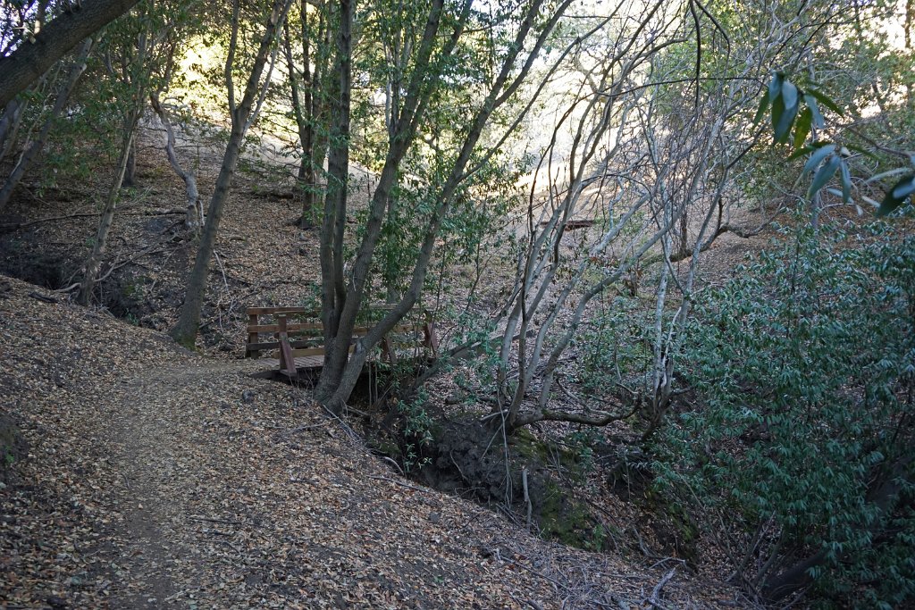 DSC06264
