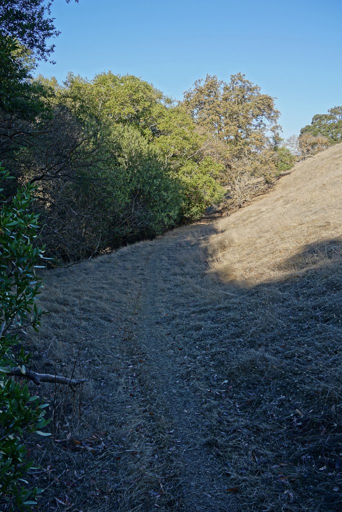 DSC06300