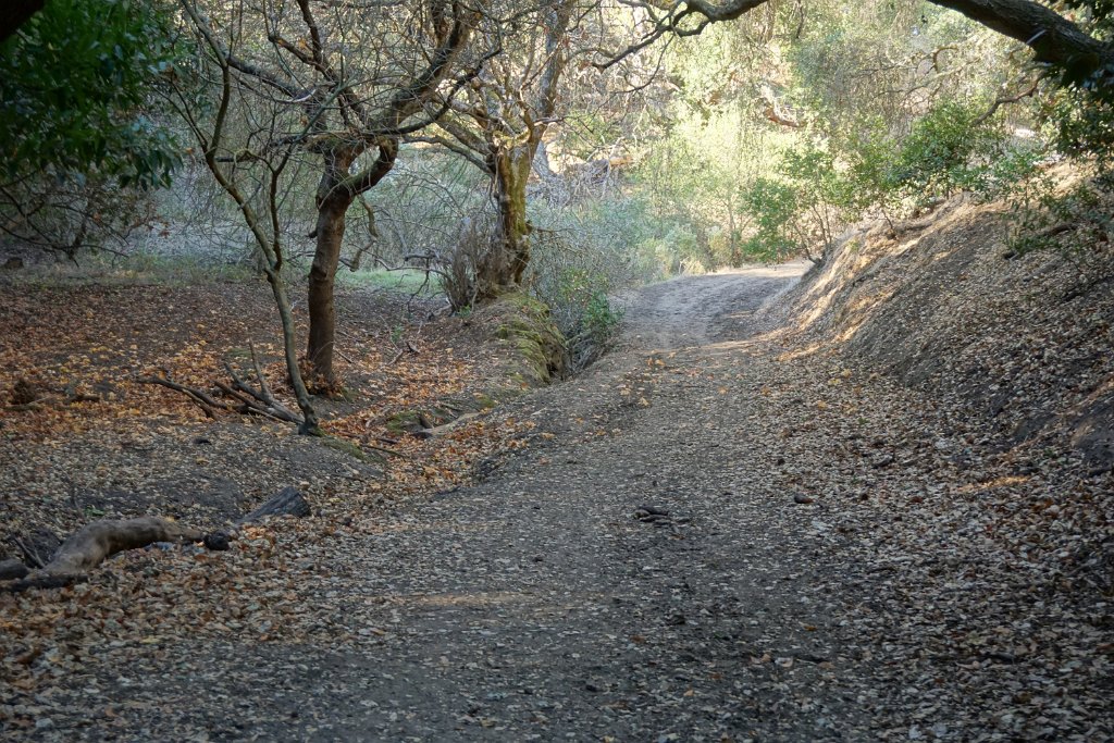 DSC06331