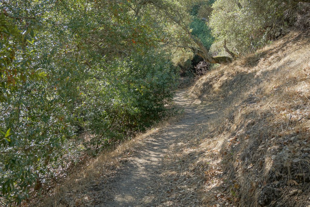 DSC06347