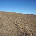 DSC06251