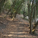 DSC06256