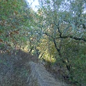 DSC06259