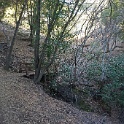 DSC06264
