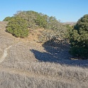 DSC06294