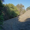 DSC06300