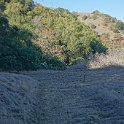 DSC06302