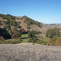 DSC06305