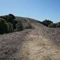 DSC06317