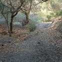 DSC06331