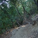 DSC06350