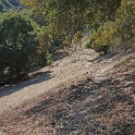 DSC06356