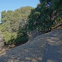 DSC06365