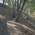 DSC06367