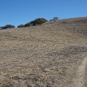 DSC06371