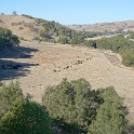 DSC06384