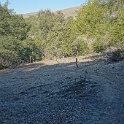 DSC06386
