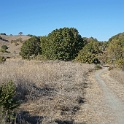 DSC06389