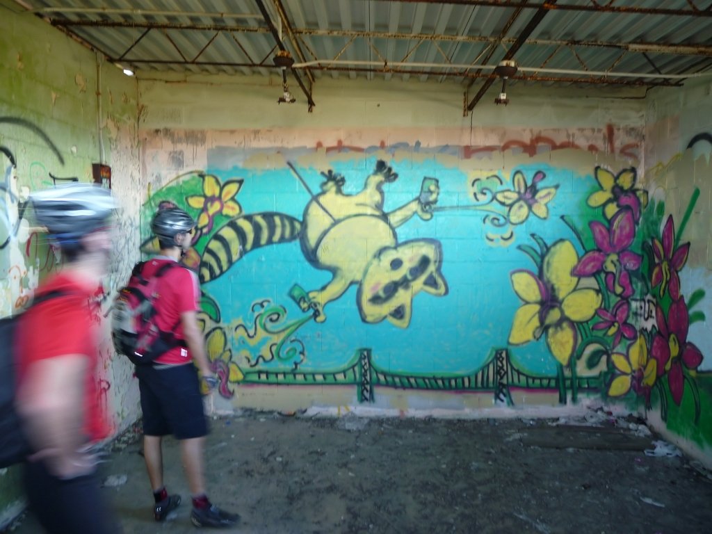 P1000984