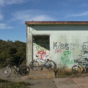 P1000988