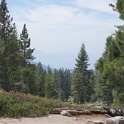 DSC02695